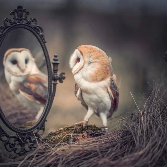 Meet your Posher, Lindsay - Picture 2 of 2